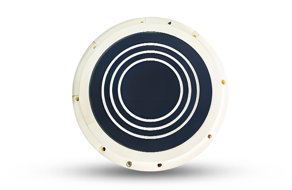 Ceramic Components for Wafer Planarization Process (CMP)